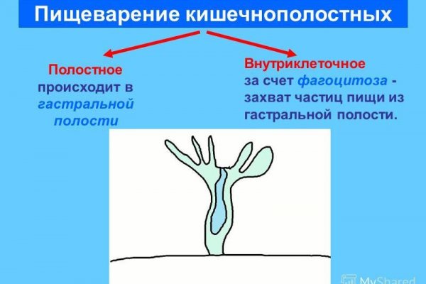 Вход в кракен