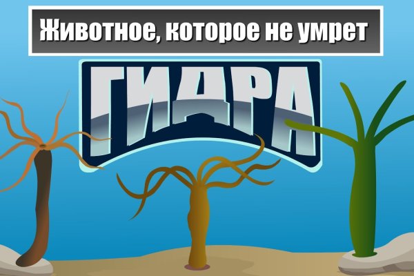 Как зарегистрироваться на кракене из россии