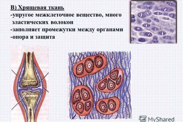 Почему не заходит на кракен