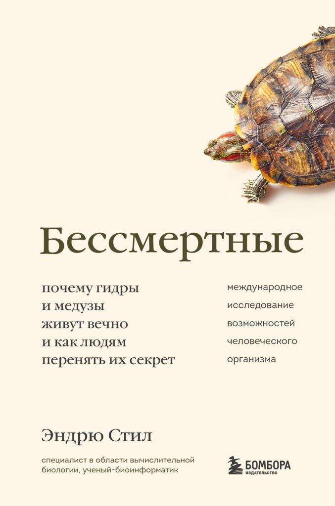 Поддержка кракен шоп